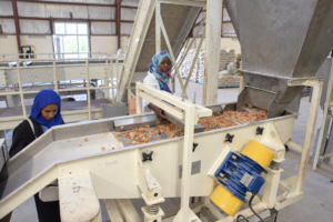 Morouj UK Process
